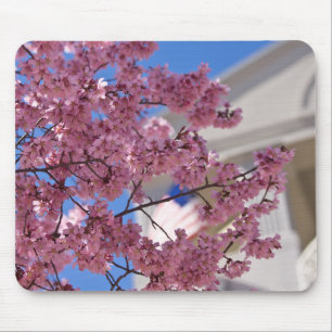 Sakura Cherry Blossoms Americana Mousepad