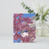 Sakura Cherry Blossoms Americana Postkarte (Stehend Vorderseite)
