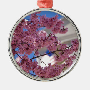 Sakura Cherry Blossoms Americana Silbernes Ornament