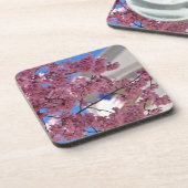 Sakura Cherry Blossoms Americana Untersetzer (Linke Seite)