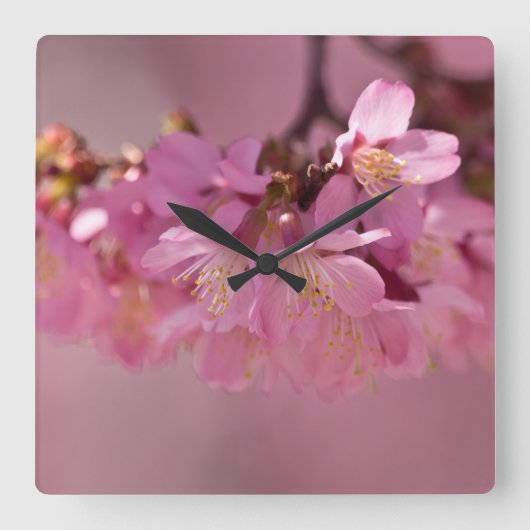 Sakura Cherry Blossoms Delicate Pink Bouquet Quadratische Wanduhr (Vorderseite)
