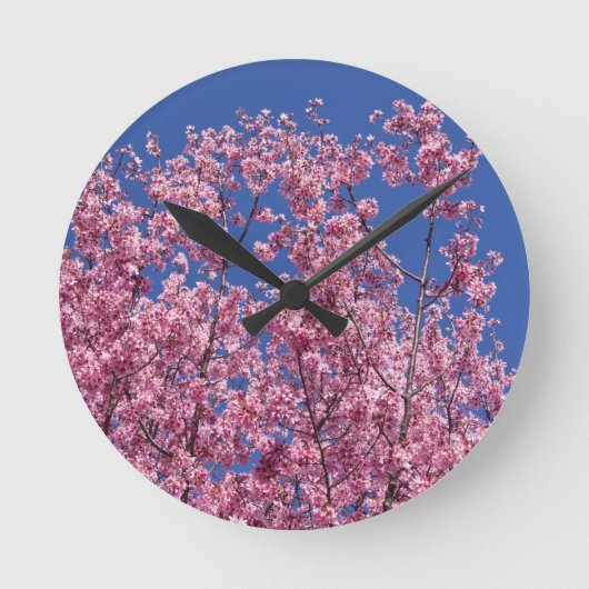Sakura Cherry Blossoms Into The Blue Runde Wanduhr (Vorderseite)