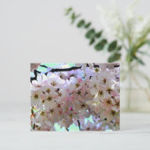 Sakura Cherry Blossoms Postkarte (Stehend Vorderseite)