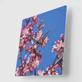 Sakura Cherry Blossoms Touching Blue Quadratische Wanduhr (Winkel)