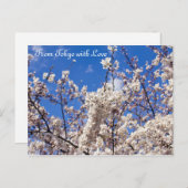 Sakura Cherry Blossoms White Blue Sky Tokio Postkarte (Vorne/Hinten)