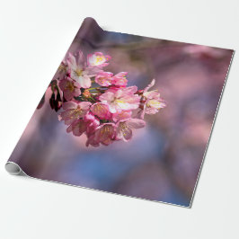 Sakura Cherry blüht in Rosa Geschenkpapier