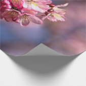 Sakura Cherry blüht in Rosa Geschenkpapier (Ecke)