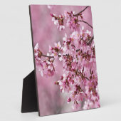 Sakura Cherry blüht pastellrosa Schichten Fotoplatte (Seite)