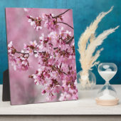 Sakura Cherry blüht pastellrosa Schichten Fotoplatte (Seite)