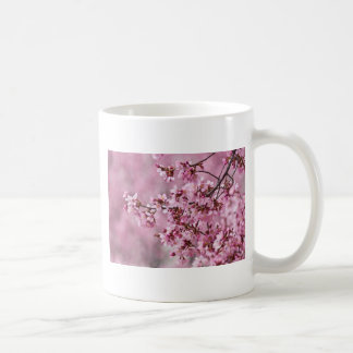 Sakura Cherry blüht pastellrosa Schichten Kaffeetasse