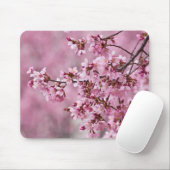 Sakura Cherry blüht pastellrosa Schichten Mousepad (Mit Mouse)