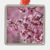 Sakura Cherry blüht pastellrosa Schichten Silbernes Ornament (Vorne)