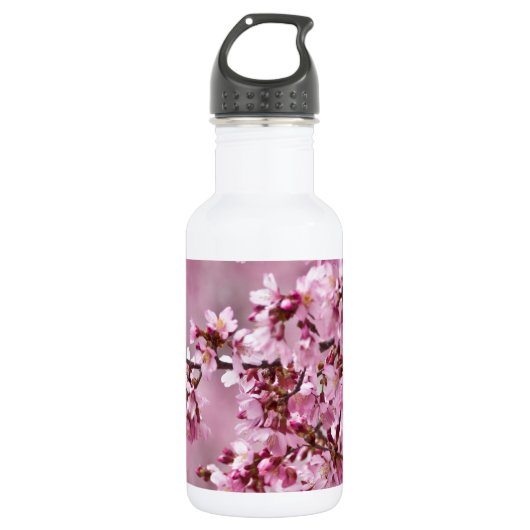 Sakura Cherry blüht pastellrosa Schichten Trinkflasche (Vorderseite)