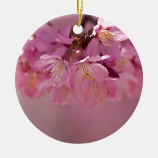 Sakura Cherry Blüten Delikatessen Pink Bouquet Keramikornament (Vorne)