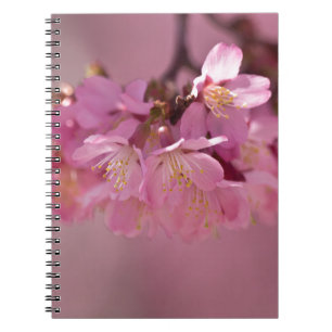 Sakura Cherry Blüten Delikatessen Pink Bouquet Notizblock