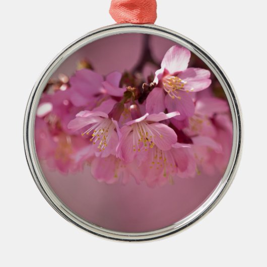 Sakura Cherry Blüten Delikatessen Pink Bouquet Silbernes Ornament (Vorne)