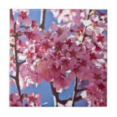Sakura Cherry Blüten Rote Stars Fliese (Vorderseite)