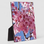 Sakura Cherry Blüten Rote Stars Fotoplatte (Seite)