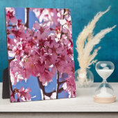 Sakura Cherry Blüten Rote Stars Fotoplatte (Seite)