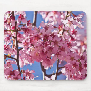 Sakura Cherry Blüten Rote Stars Mousepad