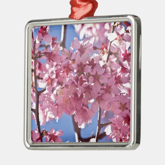 Sakura Cherry Blüten Rote Stars Silbernes Ornament (Links)