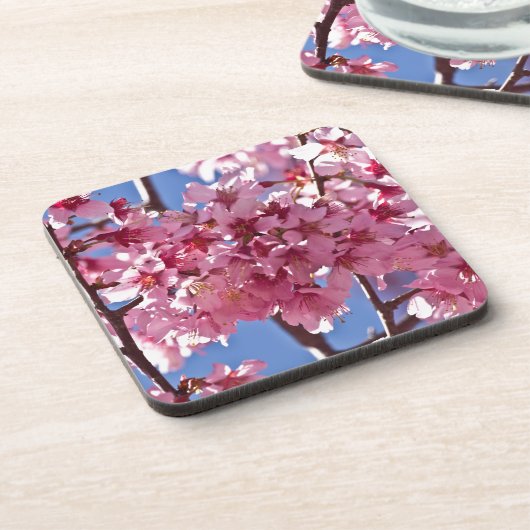 Sakura Cherry Blüten Rote Stars Untersetzer (Linke Seite)