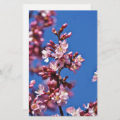 Sakura Cherry Blüten Touch Blue Briefpapier (Vorne/Hinten)