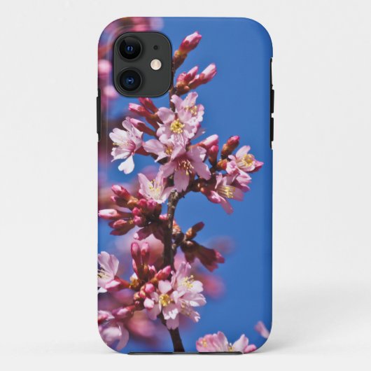 Sakura Cherry Blüten Touch Blue Case-Mate iPhone Hülle (Rückseite)