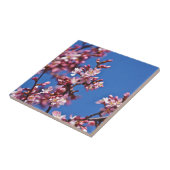 Sakura Cherry Blüten Touch Blue Fliese (Seite)