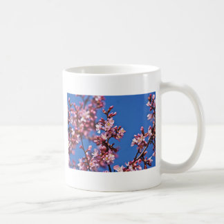 Sakura Cherry Blüten Touch Blue Kaffeetasse