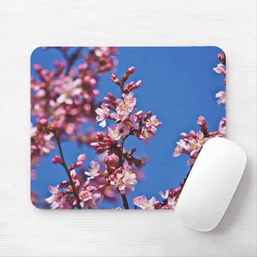 Sakura Cherry Blüten Touch Blue Mousepad (Mit Mouse)
