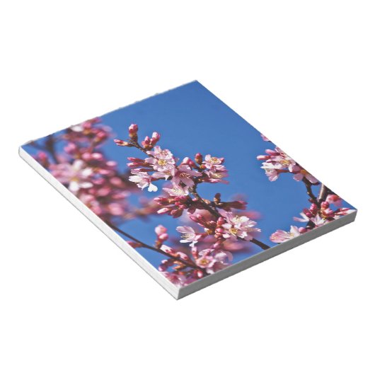 Sakura Cherry Blüten Touch Blue Notizblock (angewinkelt)