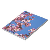 Sakura Cherry Blüten Touch Blue Notizblock (Rotiert)