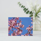 Sakura Cherry Blüten Touch Blue Postkarte (Stehend Vorderseite)