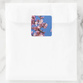 Sakura Cherry Blüten Touch Blue Quadratischer Aufkleber (Tasche)