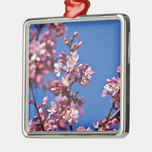 Sakura Cherry Blüten Touch Blue Silbernes Ornament (Links)