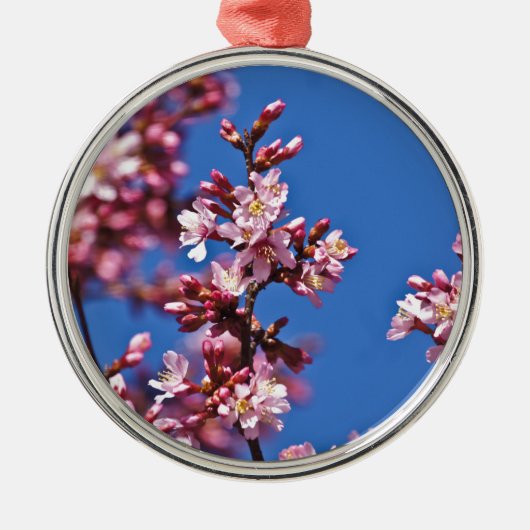 Sakura Cherry Blüten Touch Blue Silbernes Ornament (Vorne)
