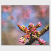 Sakura Cherry Tree Buds. Frühlingsbeginn Geschenkpapier (Flach)