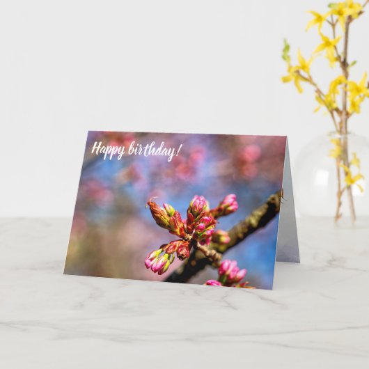 Sakura Cherry Tree Buds. Frühlingsbeginn Karte (Gelbe Blume)