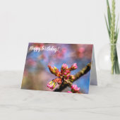 Sakura Cherry Tree Buds. Frühlingsbeginn Karte (Vorderseite)