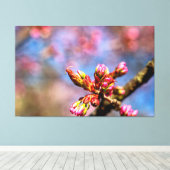 Sakura Cherry Tree Buds. Frühlingsbeginn Leinwanddruck (Insitu (Holzboden))