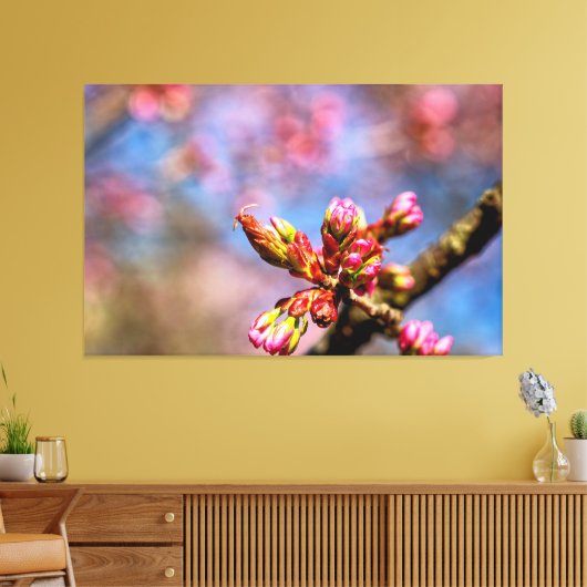 Sakura Cherry Tree Buds. Frühlingsbeginn Leinwanddruck (Insitu (Wohnzimmer))