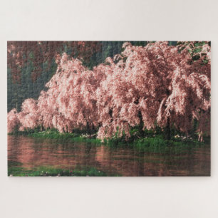 Sakura (Deluxe) Puzzle