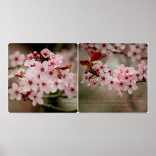 Sakura-Diptychon-Plakat Poster