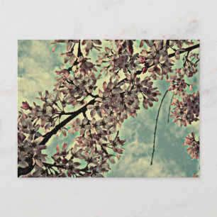 SAKURA-FOTO POSTKARTE