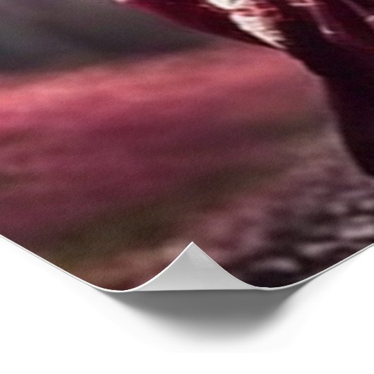 Sakura Geisha Poster (Ecke)