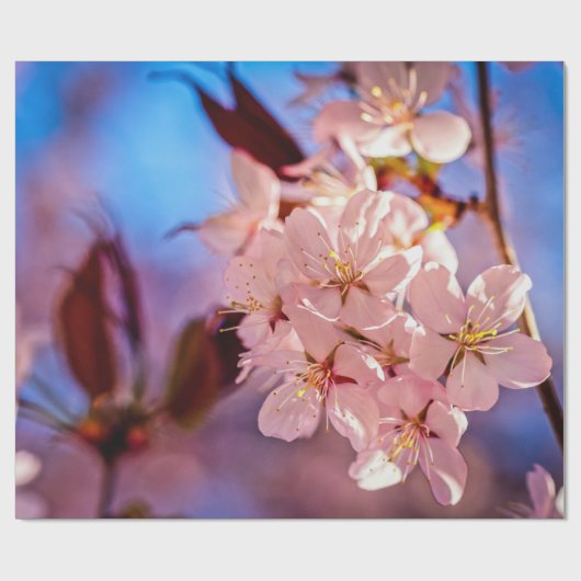 Sakura im Baumschatten Geschenkpapier (Flach)