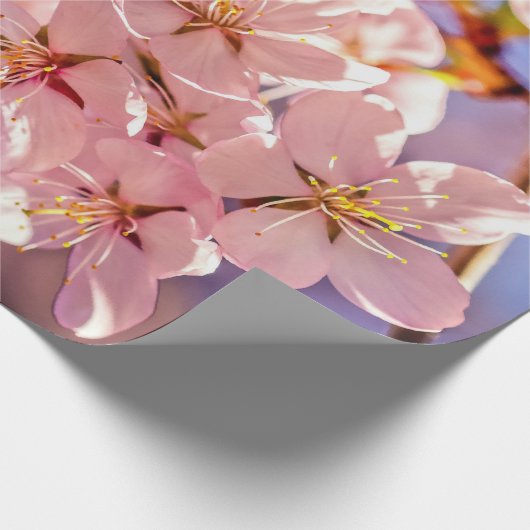 Sakura im Baumschatten Geschenkpapier (Ecke)