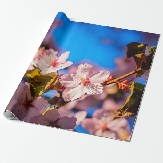Sakura in Rosa und Blau Geschenkpapier (Ungerollt)