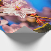 Sakura in Rosa und Blau Geschenkpapier (Ecke)